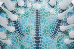 Topsian Frill (Detail) by Kylee Ann Koenig