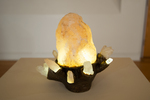 Illuminated Crystals by Morgan Marie Lindsay