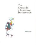 The Caress is a Letter of Instruction by Adrian Kien