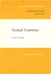 Tzutujil Grammar by Jon P. Dayley