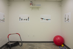 Low Grade Euphoria, Exercise Room by Carrie Quinney